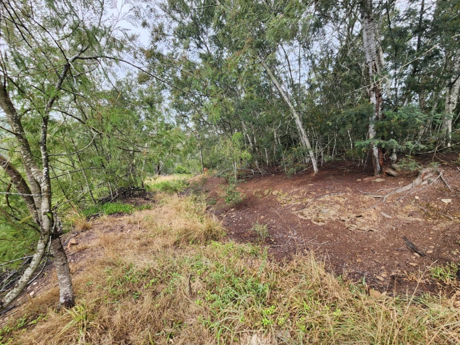 Commercial Property for Sale in Hoekwil Western Cape